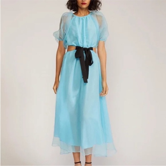 Cynthia Rowley - Clara Organza Dress - Light Blue Sheer Dress - NWT - Picture 1 of 6